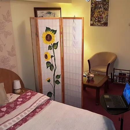 Apartman Sunny Old Town